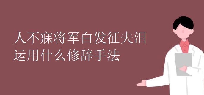 人不寐将军白发征夫泪运用什么修辞手法