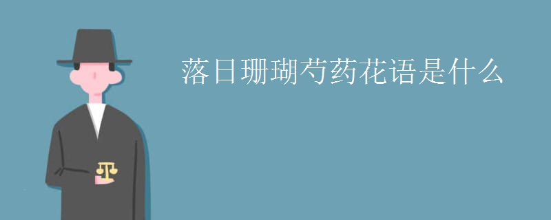 落日珊瑚芍药花语是什么
