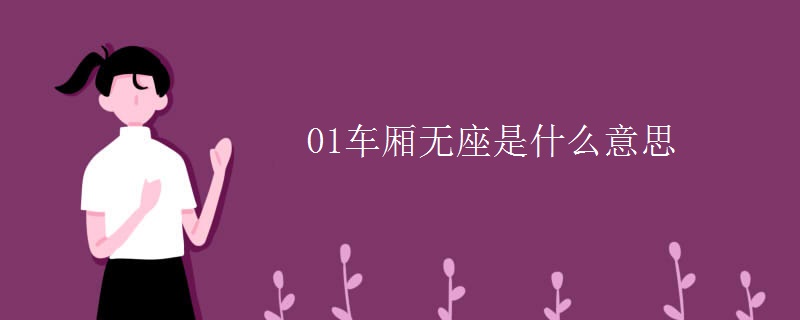 01车厢无座是什么意思