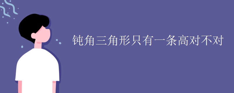 钝角三角形只有一条高对不对