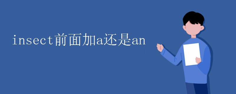 insect前面加a还是an