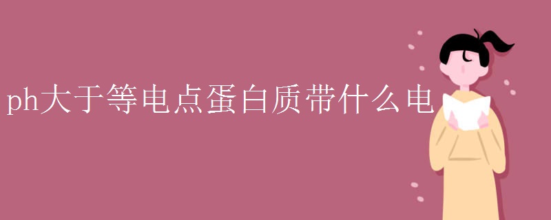 ph大于等电点蛋白质带什么电