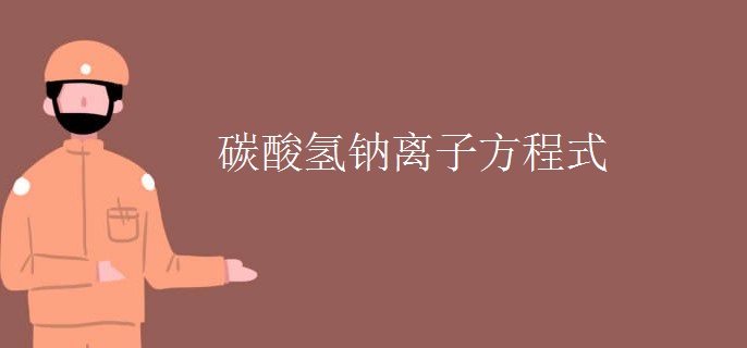 碳酸氢钠离子方程式