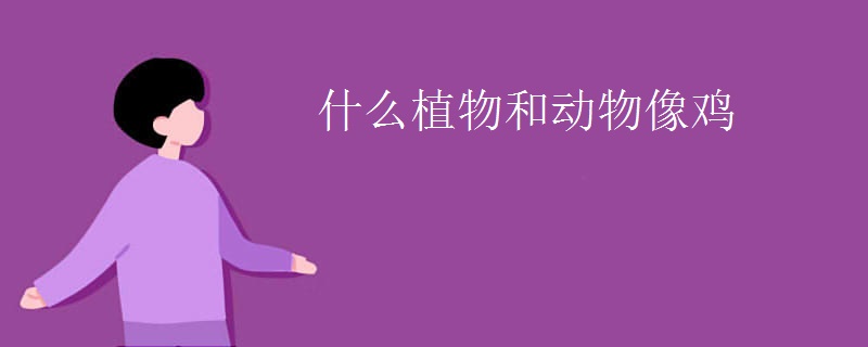 什么植物和动物像鸡