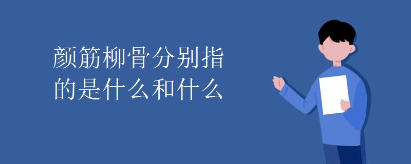颜筋柳骨分别指的是什么和什么