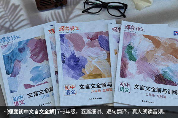 好用的中考语文资料书有哪些 买什么好