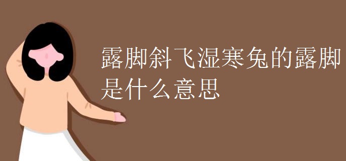 露脚斜飞湿寒兔的露脚是什么意思