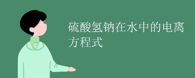 硫酸氢钠在水中的电离方程式