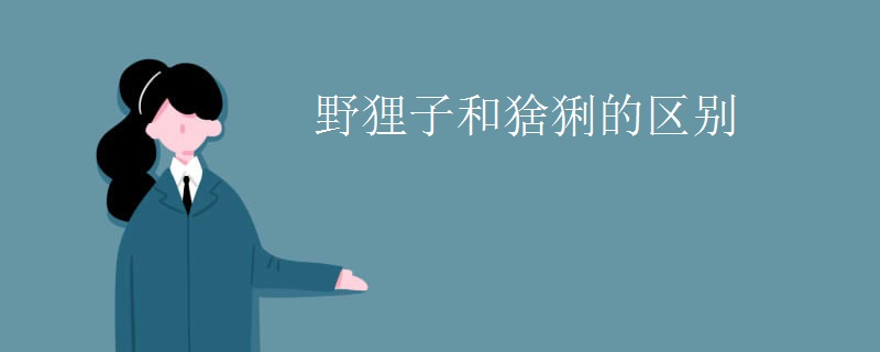野狸子和猞猁的区别