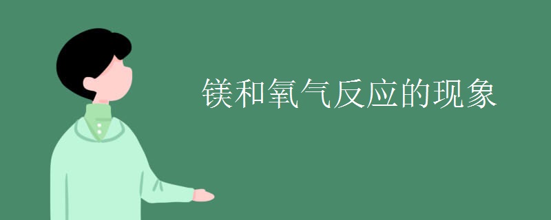镁和氧气反应的现象
