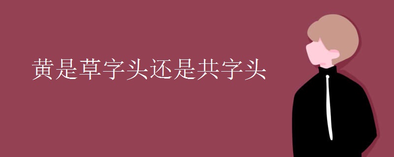 黄是草字头还是共字头
