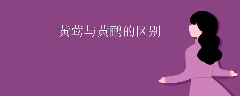 黄莺与黄鹂的区别