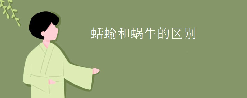 蛞蝓和蜗牛的区别