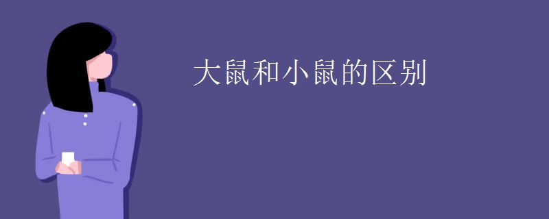 大鼠和小鼠的区别