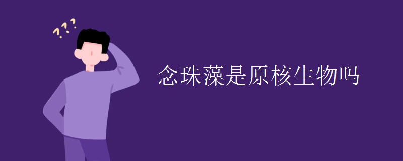 念珠藻是原核生物吗
