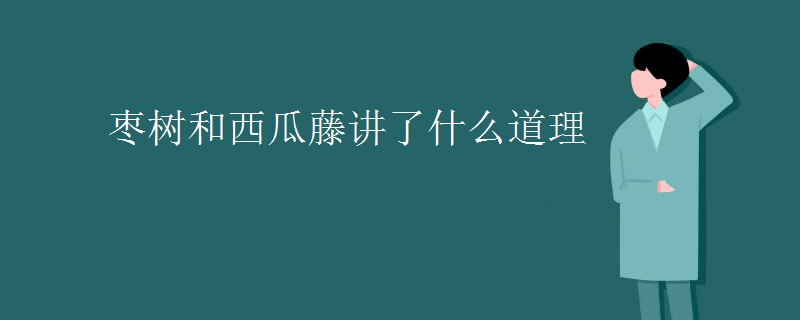 枣树和西瓜藤讲了什么道理