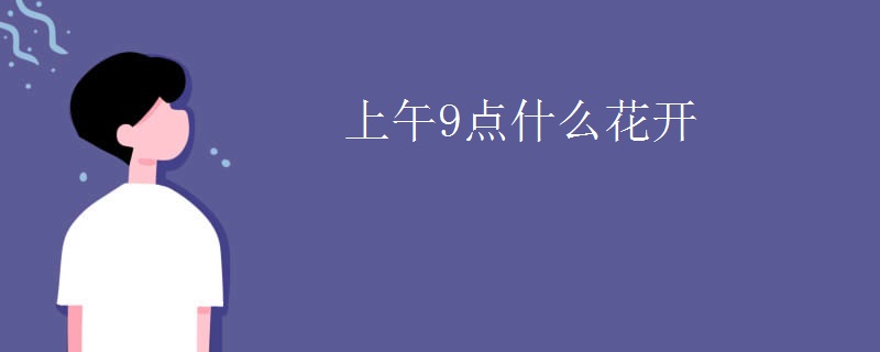 上午9点什么花开