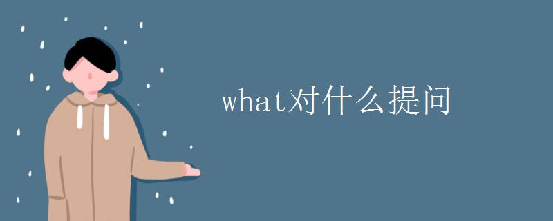 what对什么提问