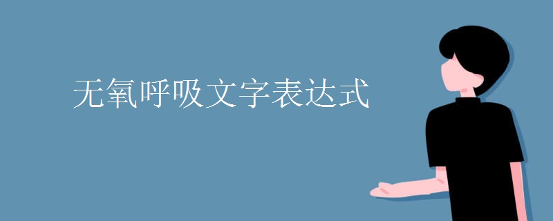 无氧呼吸文字表达式