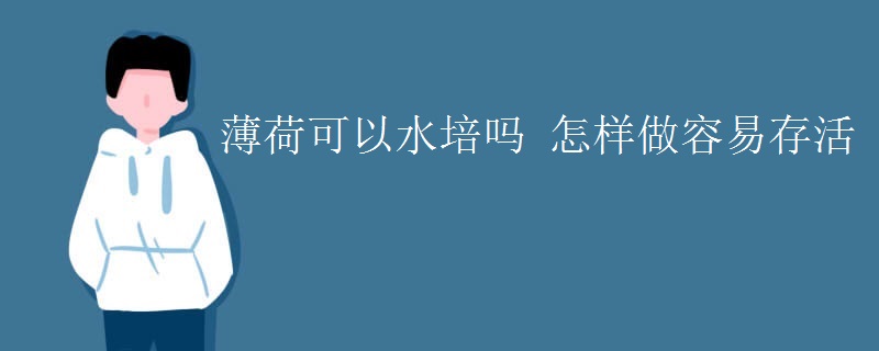 薄荷可以水培吗 怎样做容易存活