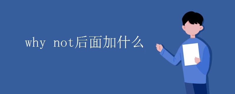 why not后面加什么