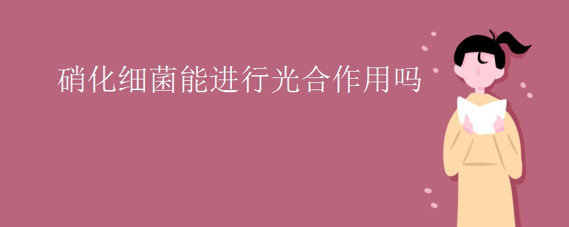 硝化细菌能进行光合作用吗