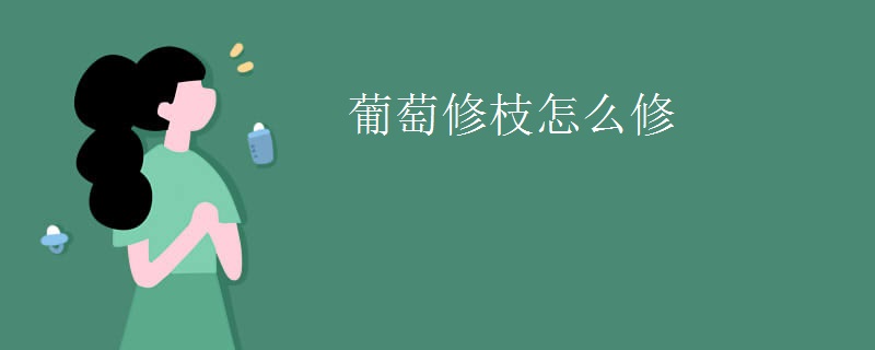 葡萄修枝怎么修