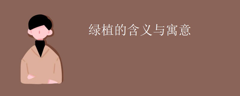 绿植的含义与寓意