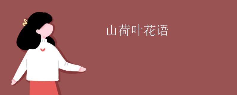 山荷叶花语