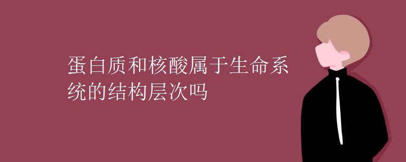 蛋白质和核酸属于生命系统的结构层次吗