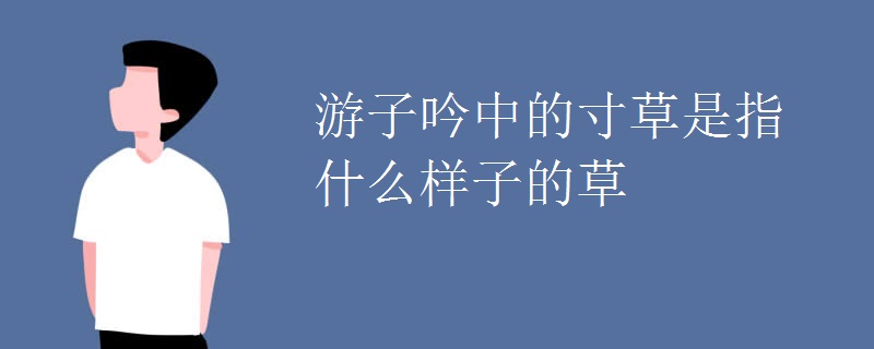 游子吟中的寸草是指什么样子的草