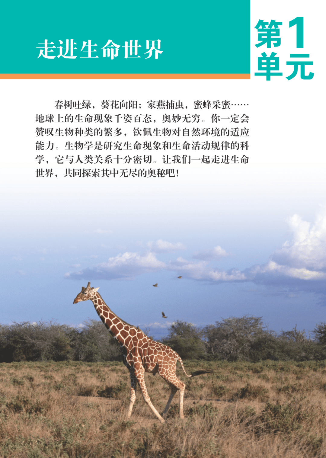七年级生物上册电子书可翻页