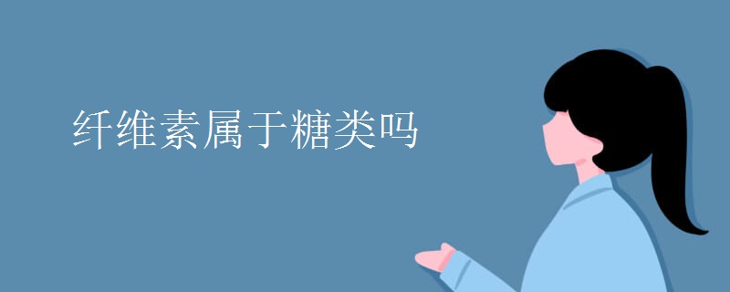 纤维素属于糖类吗