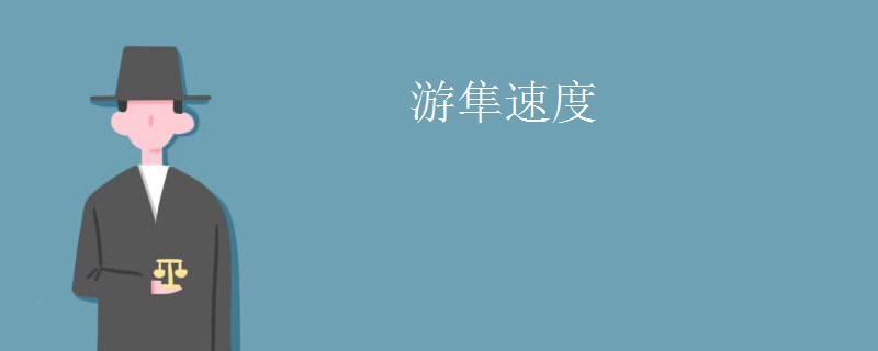 游隼速度