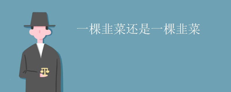 一棵韭菜还是一棵韭菜