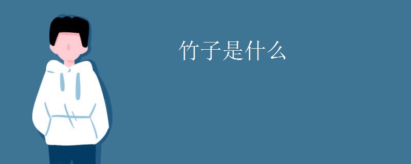 竹子是什么