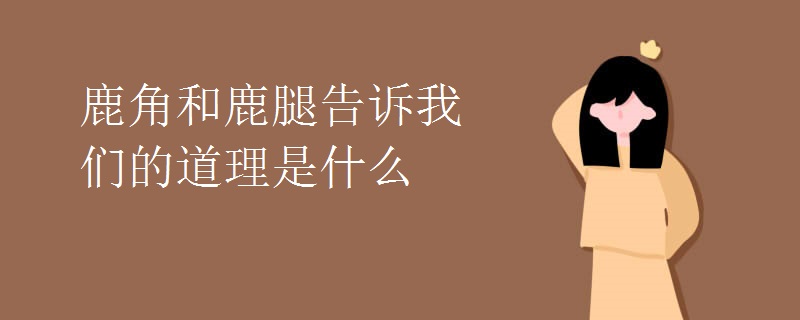 鹿角和鹿腿告诉我们的道理是什么