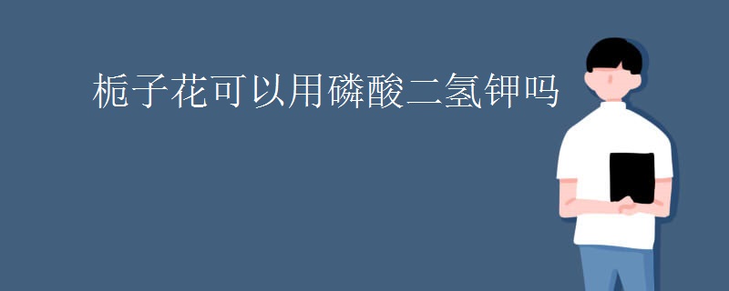栀子花可以用磷酸二氢钾吗