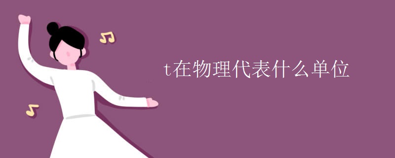 t在物理代表什么单位
