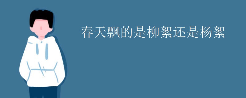 春天飘的是柳絮还是杨絮