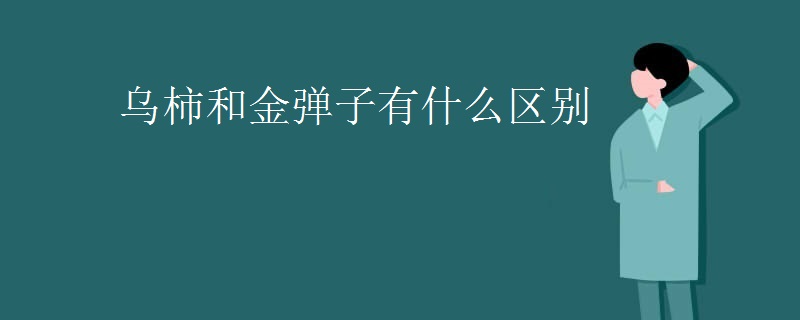 乌柿和金弹子有什么区别