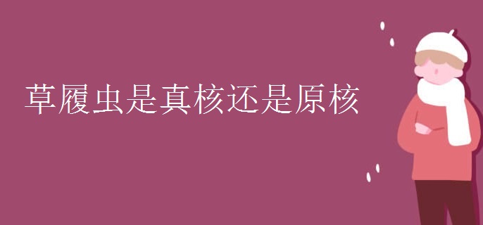 草履虫是真核还是原核