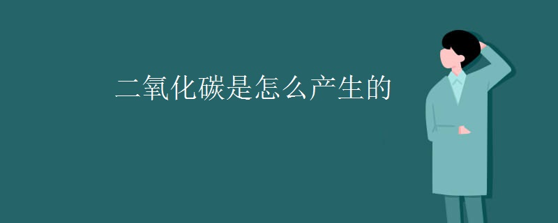 二氧化碳是怎么产生的