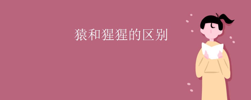 猿和猩猩的区别