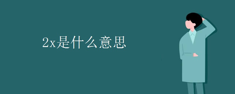 2x是什么意思