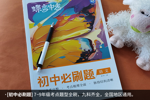 初中语文教辅书哪个好 学霸推荐最佳辅导书