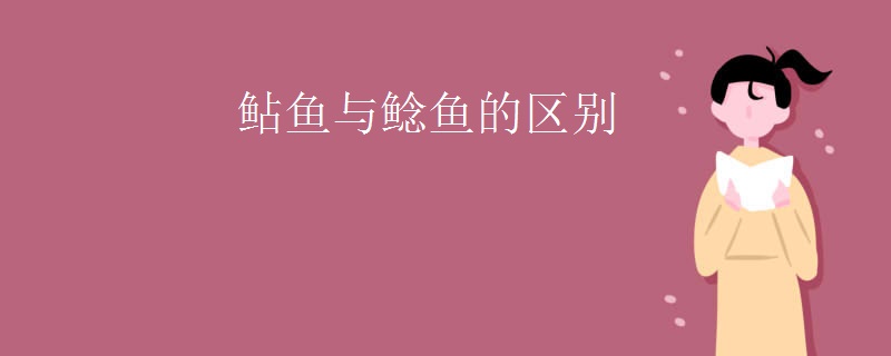 鲇鱼与鲶鱼的区别