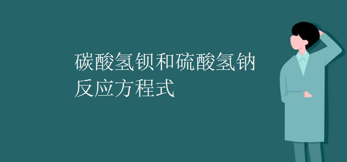 碳酸氢钡和硫酸氢钠反应方程式