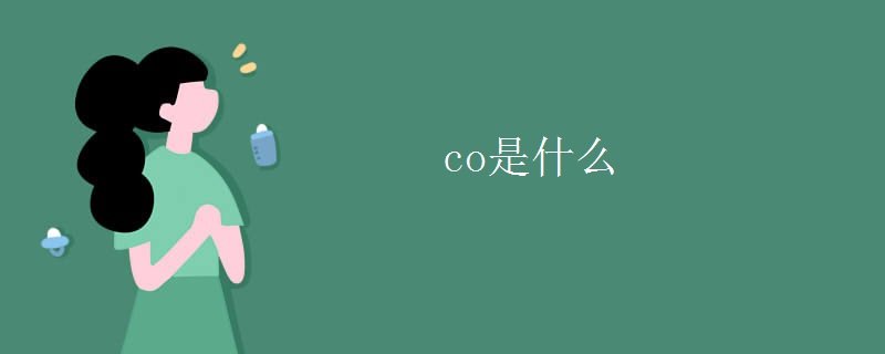 co是什么