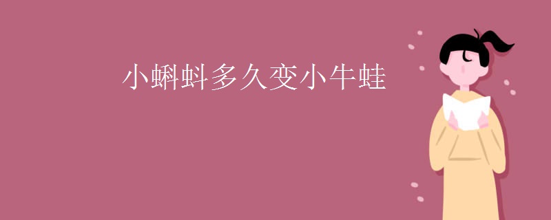 小蝌蚪多久变小牛蛙